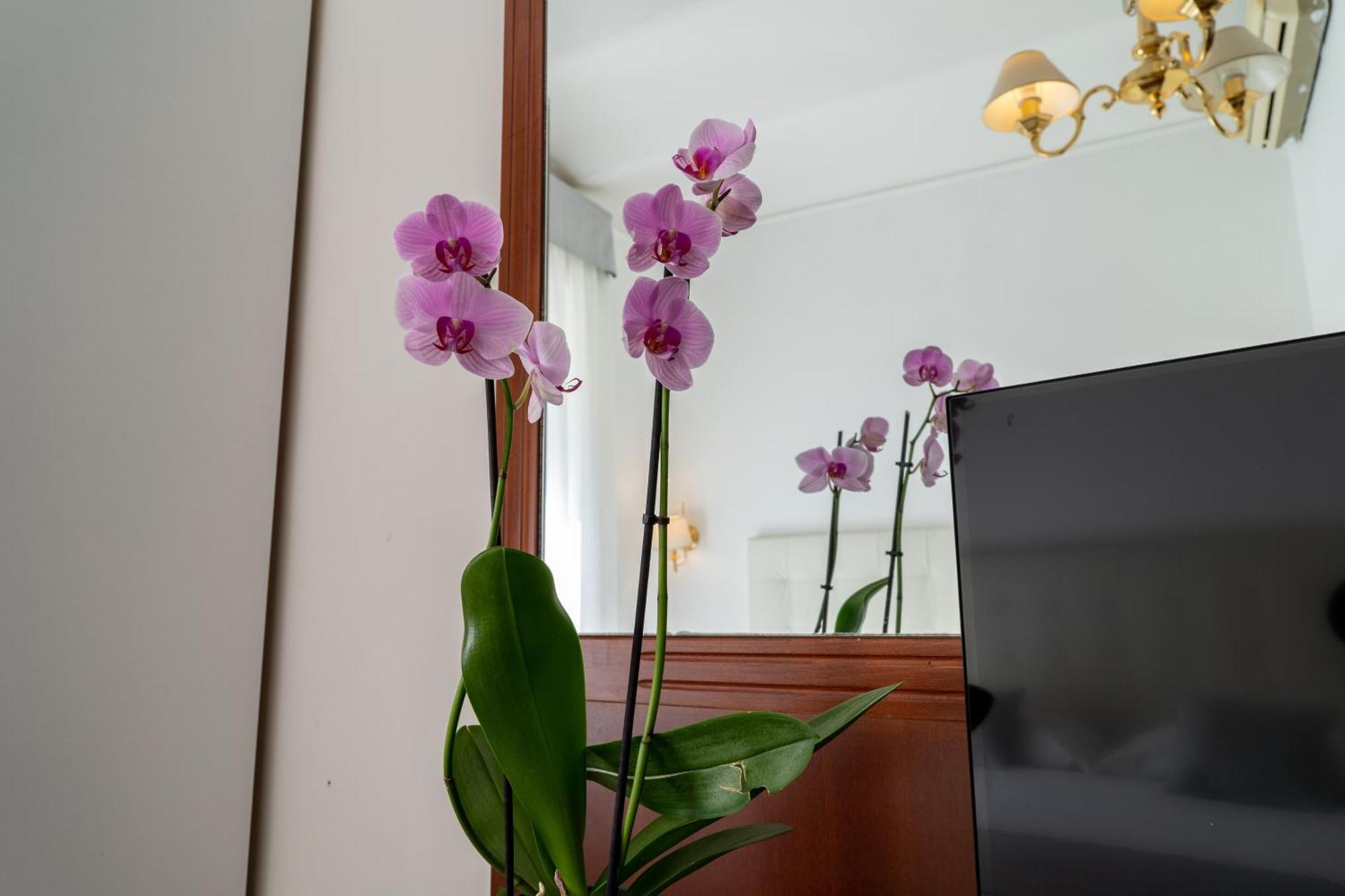 Hotell Gabriella